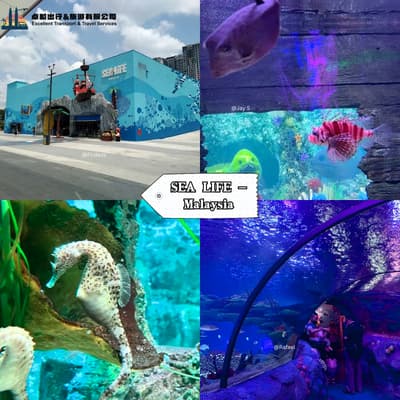 SEA LIFE Malaysia - Iskandar Puteri